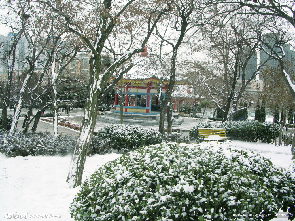 雪景