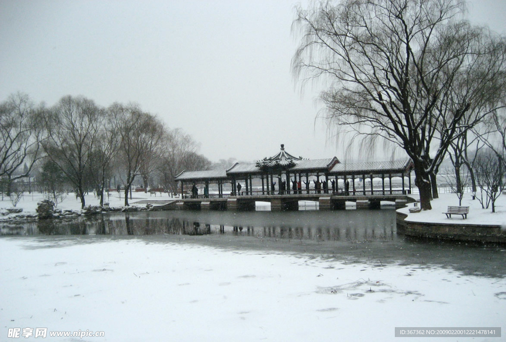 雪景