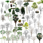 植物配景PSD