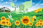夏日风光