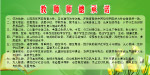 教师师德承诺