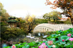 公园景观效果图