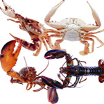 食材海鲜