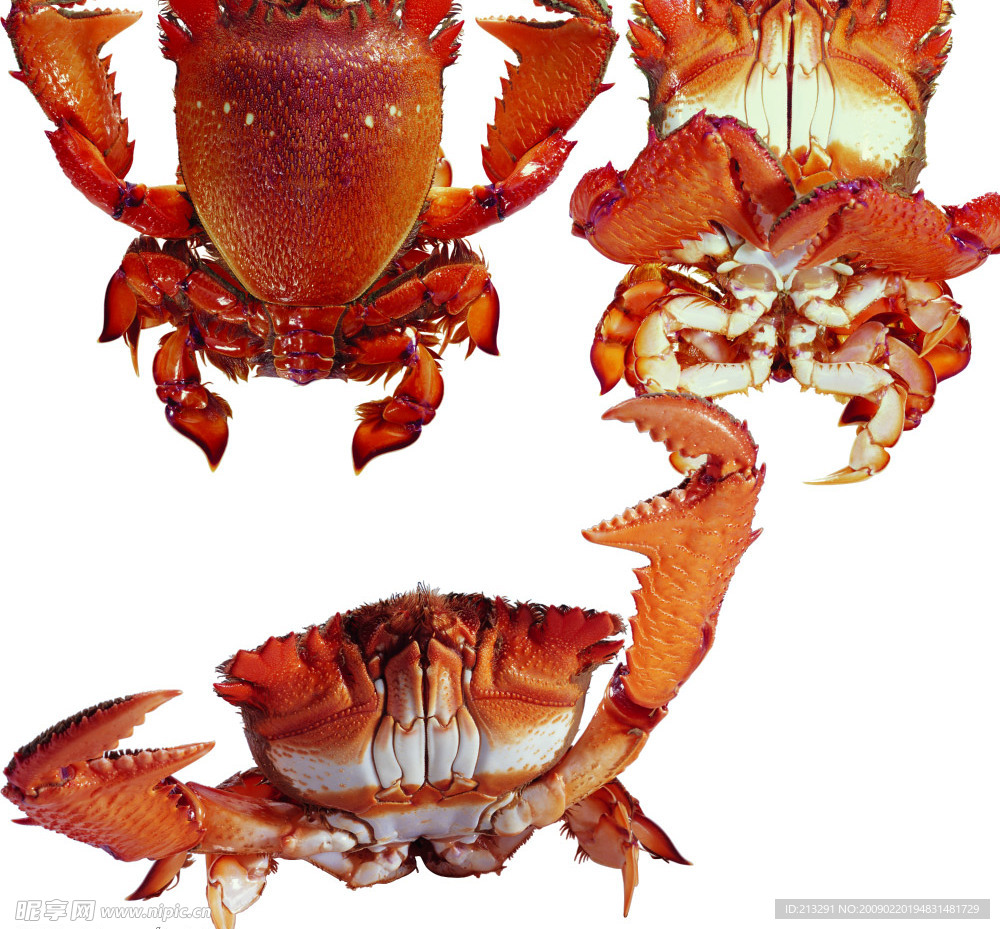 食材海鲜