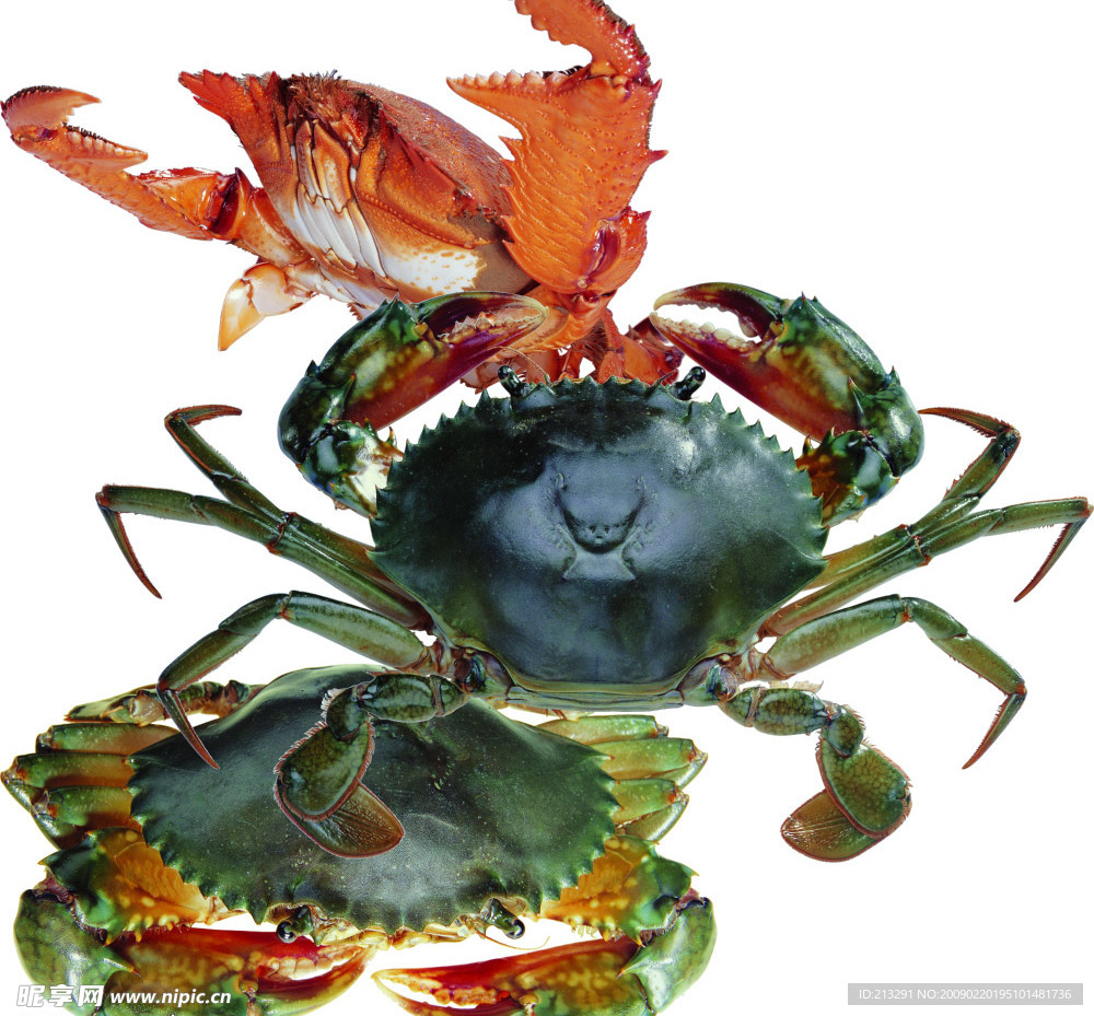 食材海鲜