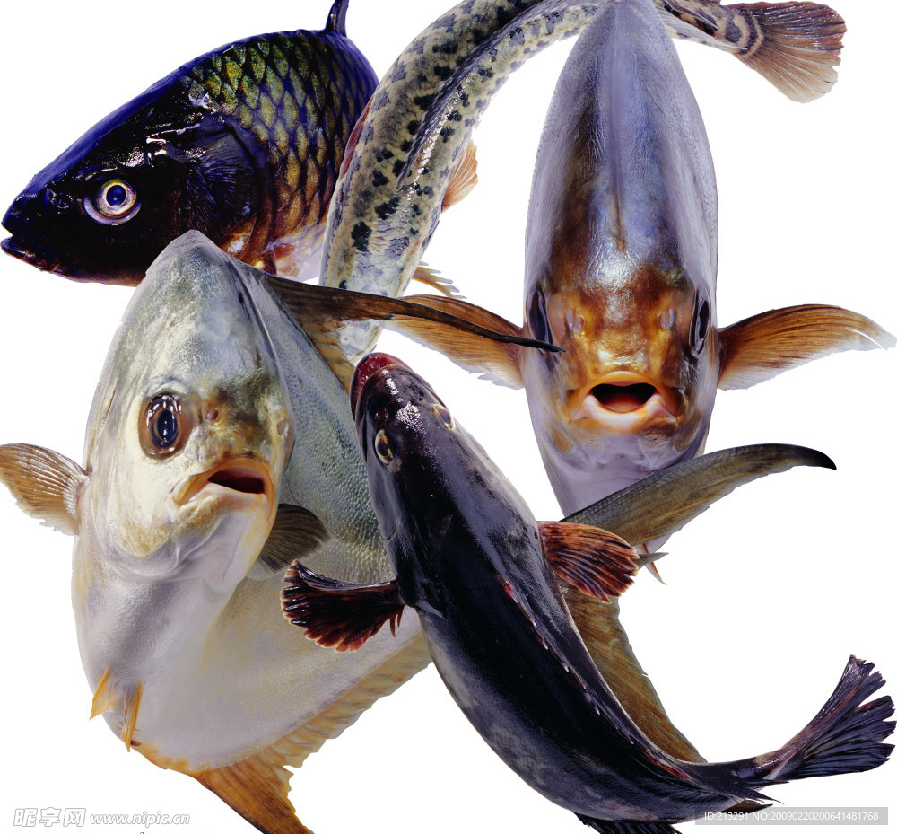 食材海鲜