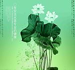 墨迹莲花