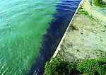 河岸 岸边