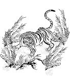 虎