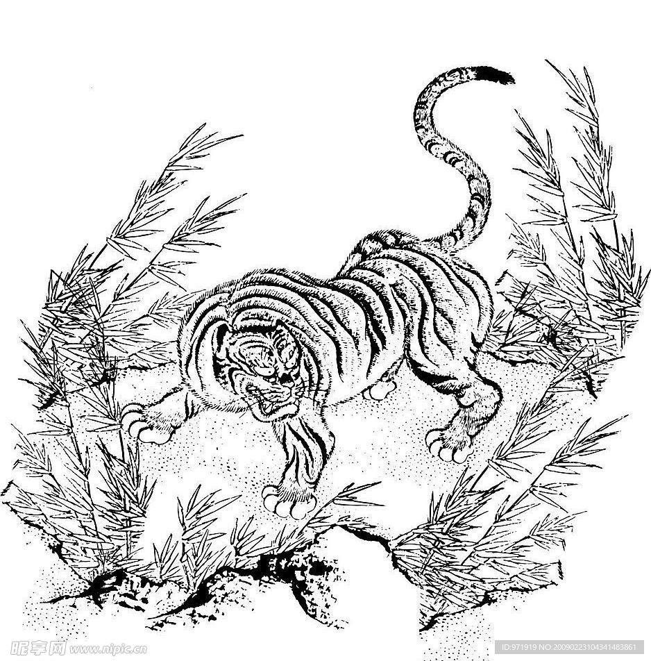 虎