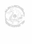 龙纹