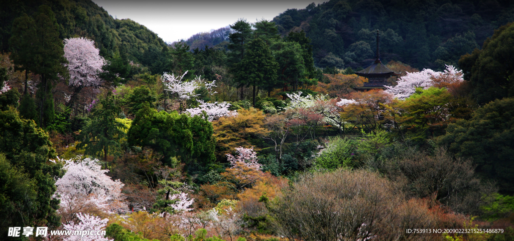 清水寺 京都