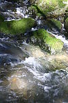 山间小溪