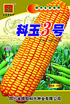 科玉3号