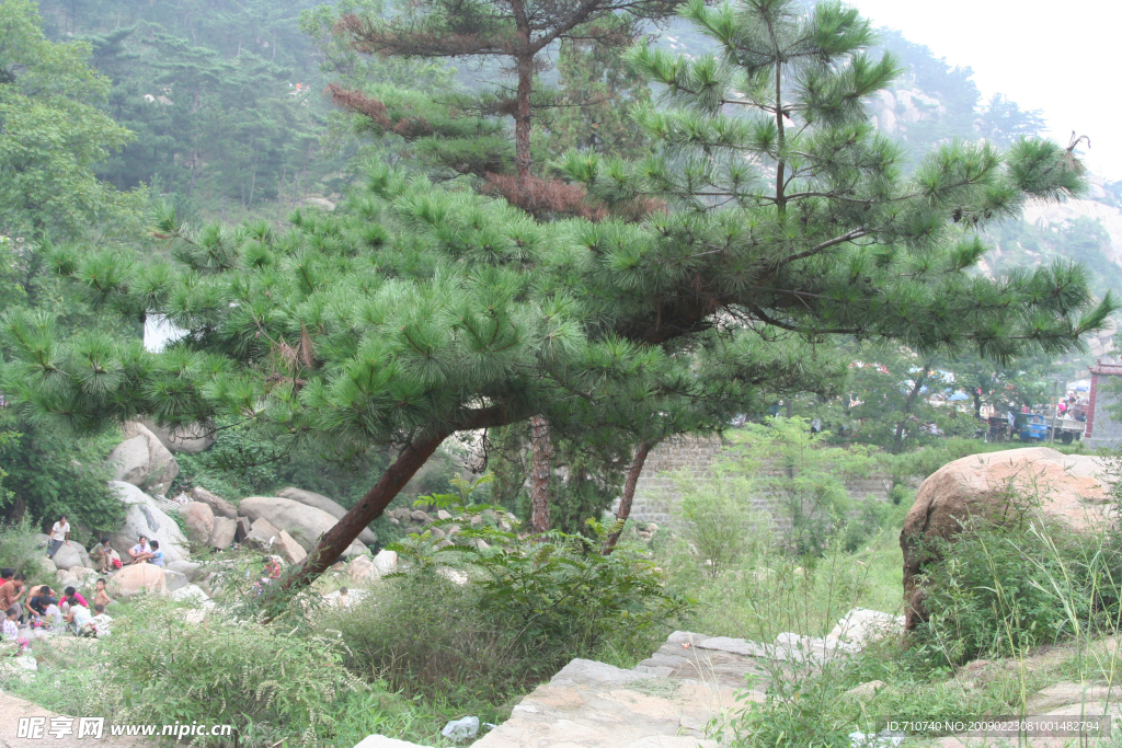 松下游人