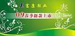 09新款皮鞋