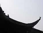 奔跑