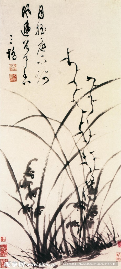 文彭兰花图