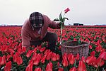 田园风光