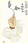 大悲观音四十二手眼之杨枝手