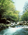 山涧清泉