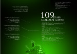 原创视觉版式设计特效