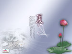 夏之雨荷 婚纱模板