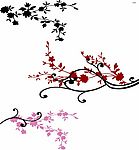 梅花线条
