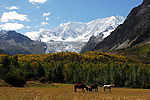 圣山