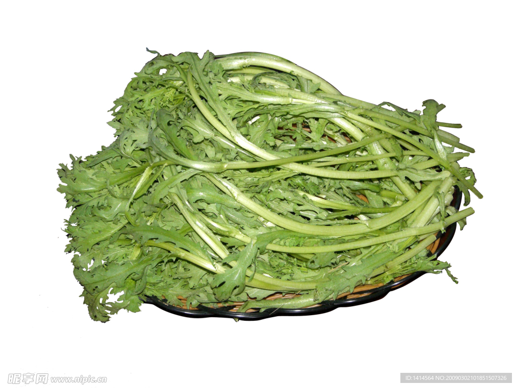 茼蒿 蔬菜 新鲜