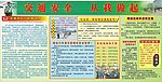 小学校园交通知识宣传栏