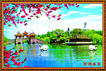 风景