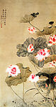 池珠露荷