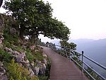 菌子山