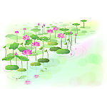 百荷