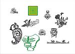 花纹