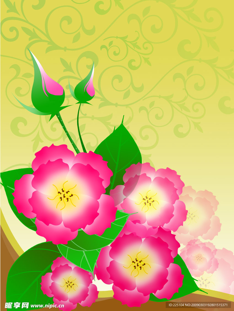 韩国梦幻花朵