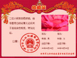 娃娃亲（结婚证）模板
