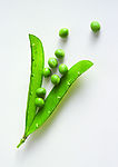 豌豆
