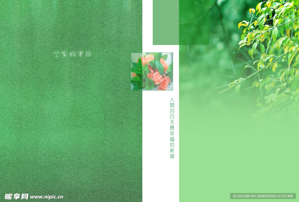 恋爱的季节