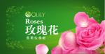 玫瑰花