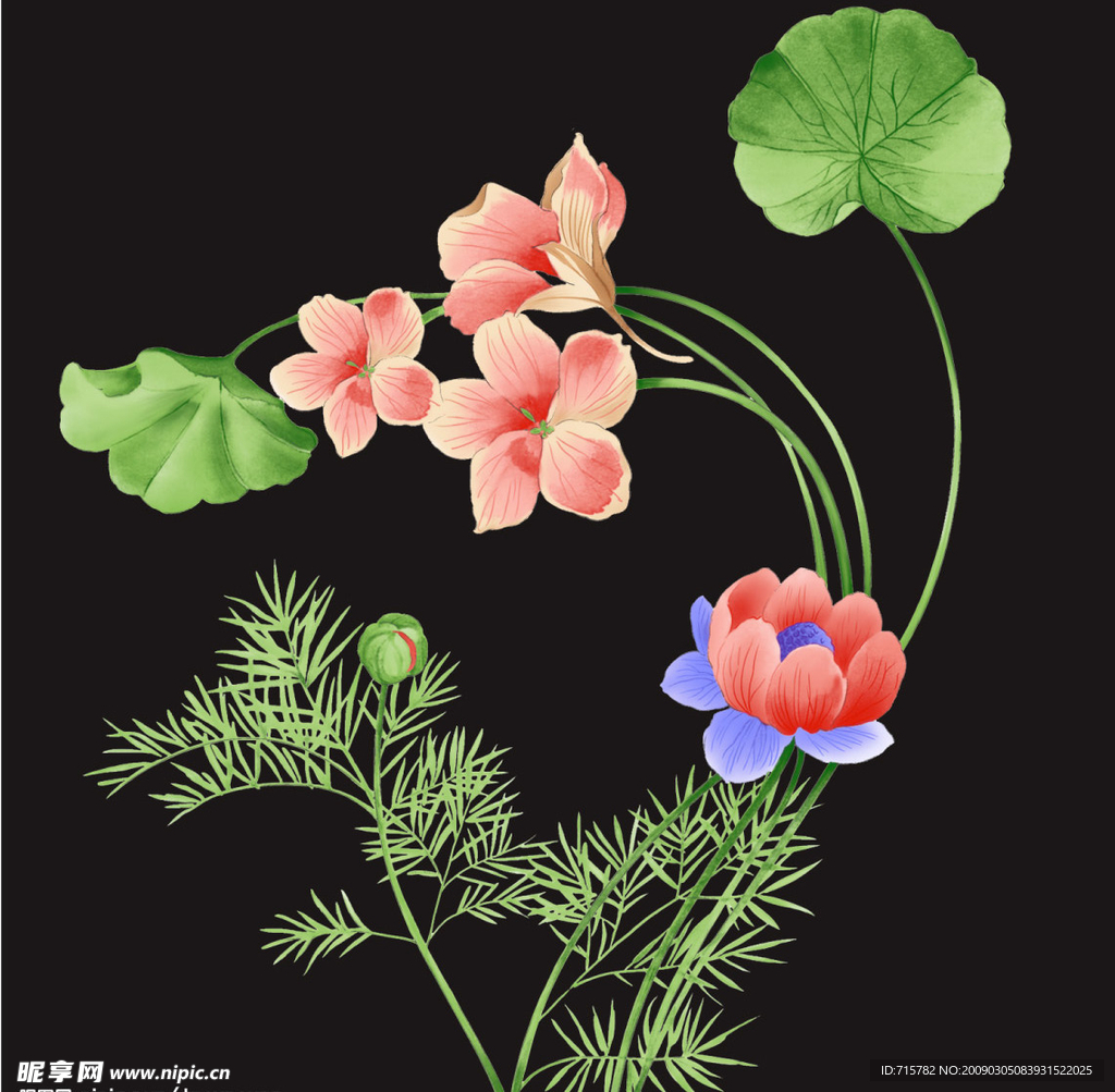 花绿叶