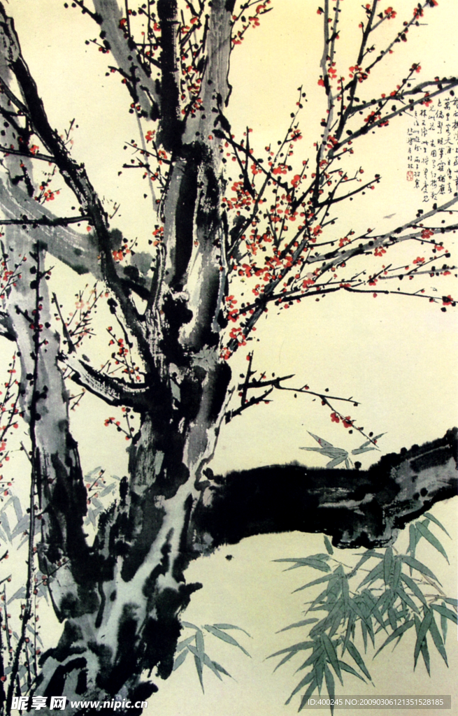 梅花