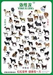 犬图
