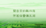 茶园