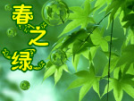 春之绿