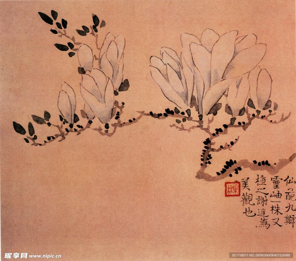 汪士慎花卉图