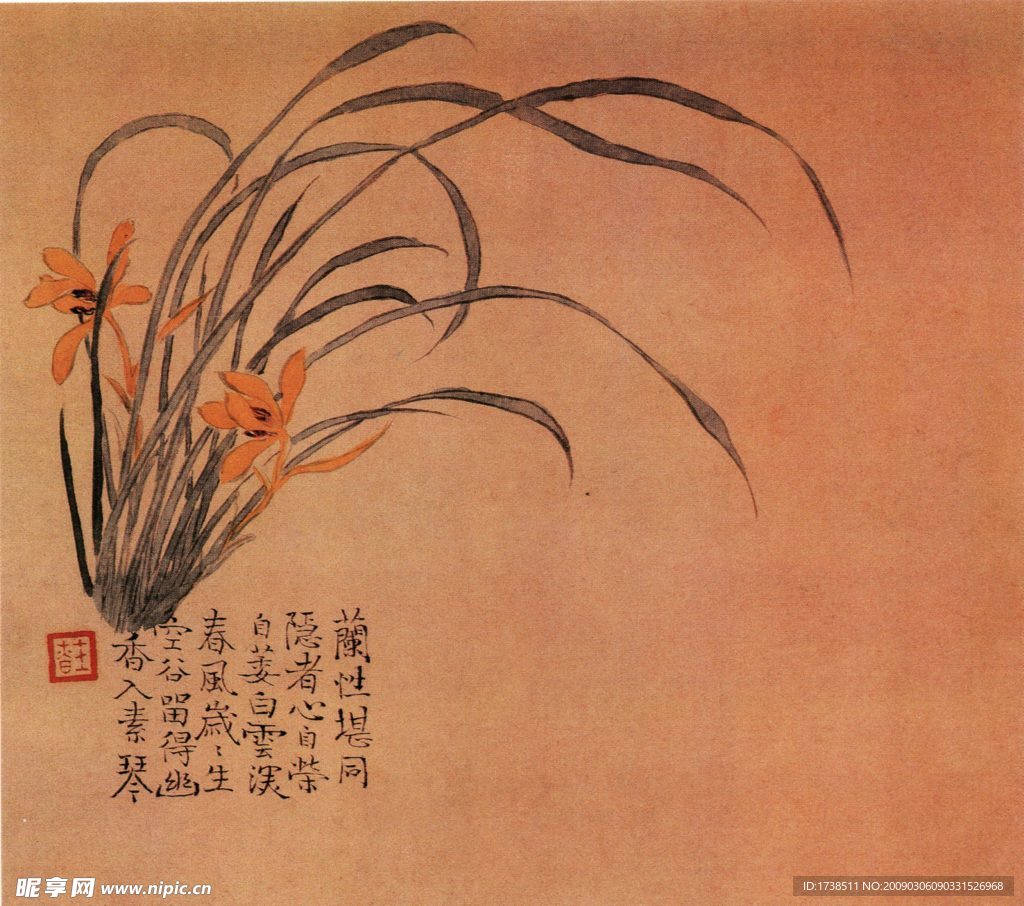 汪士慎花卉图
