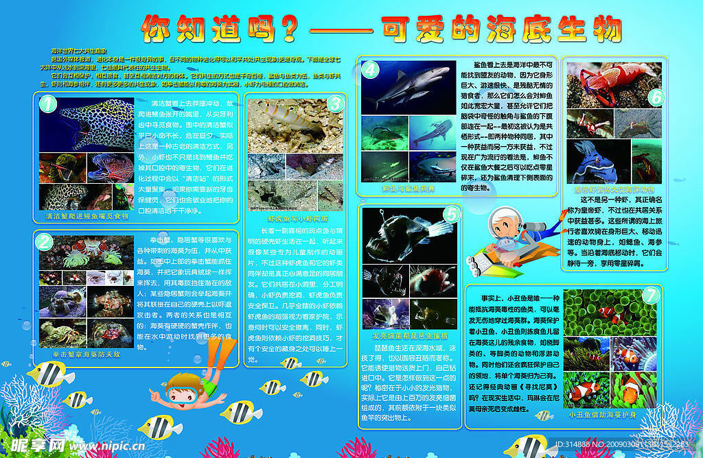 海底生物展板