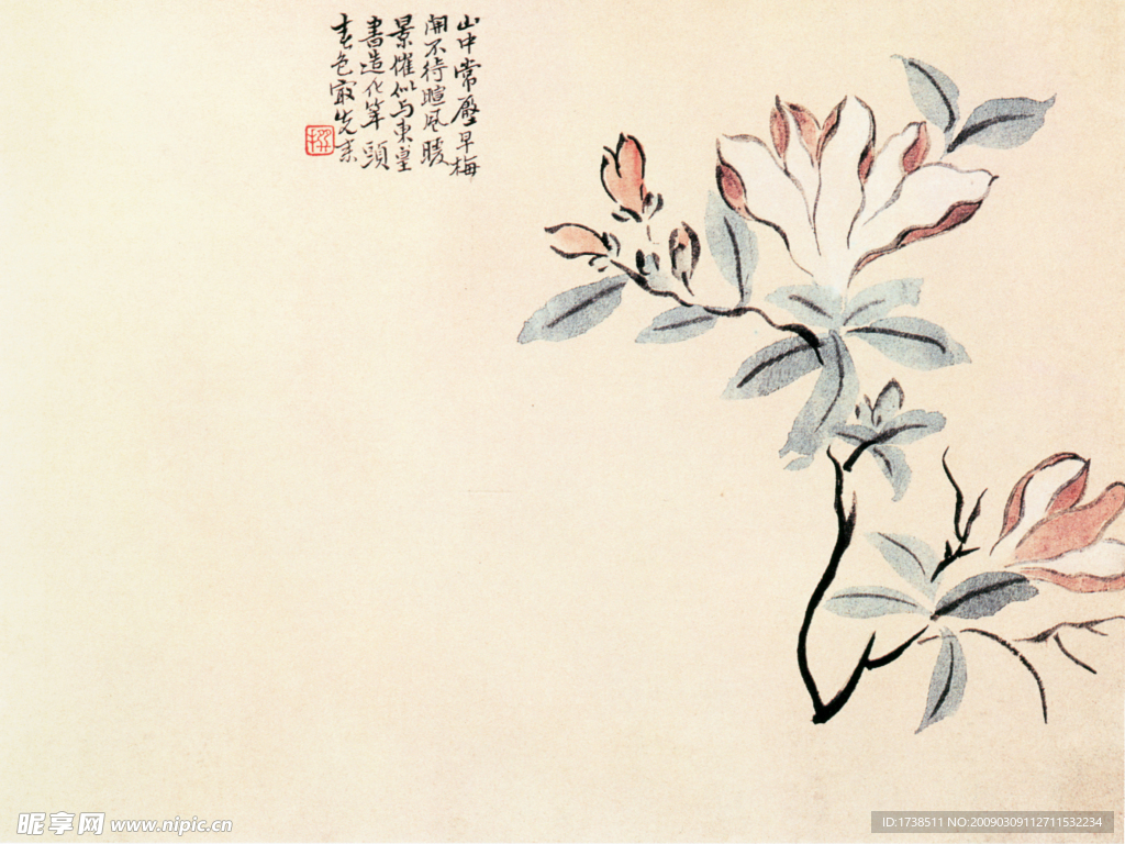 折枝花卉图